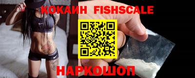 шишки Камышлов