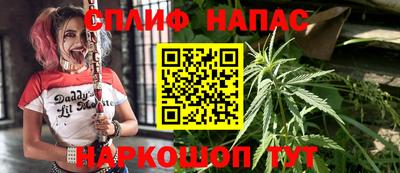 шишки Камышлов