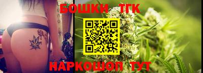 шишки Камышлов